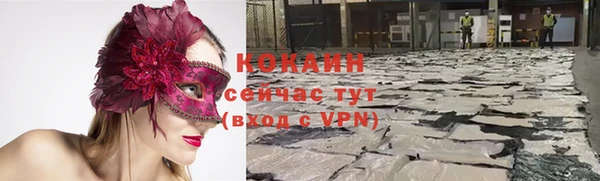 таблы Ельня