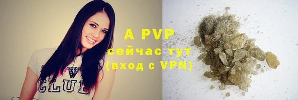 таблы Ельня