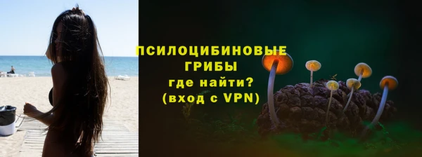 гидропоника Елизово