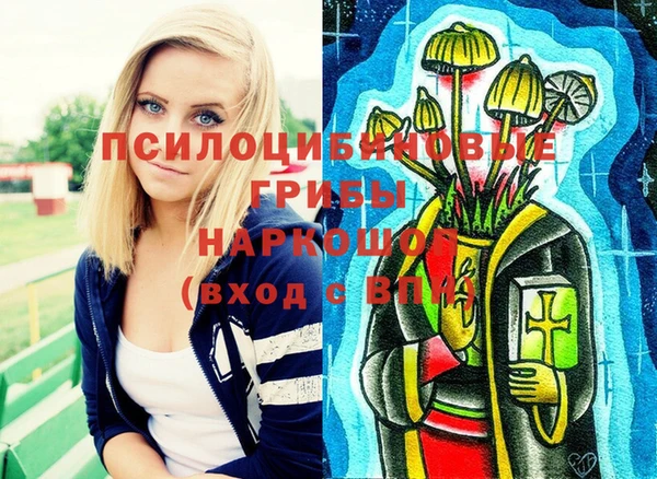 таблы Ельня