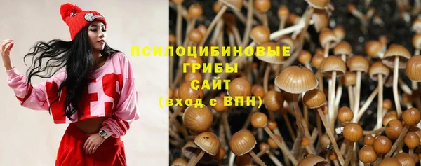 гидропоника Елизово