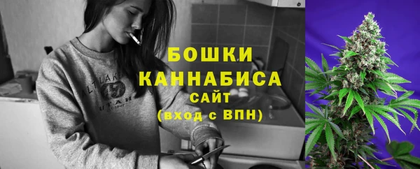 таблы Ельня