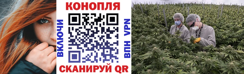 блэк спрут ТОР  Зерноград  Каннабис AK-47 
